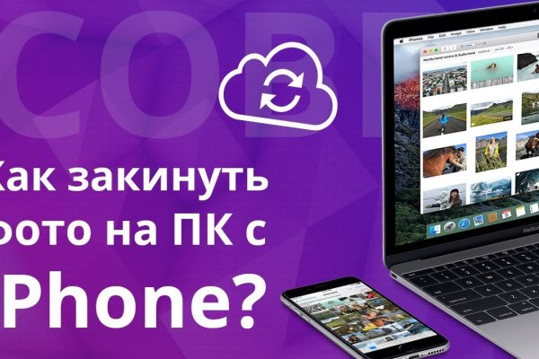 Прямая ссылка на кракен